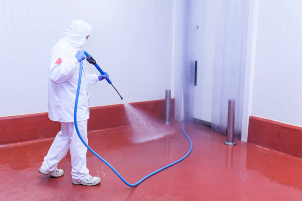 Best Parking Lot and Garage Cleaning  in Dewitt, IA