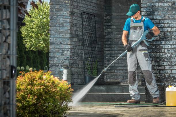 Best Solar Panel Cleaning  in Dewitt, IA