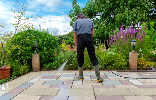 Best Driveway Pressure Washing  in Dewitt, IA