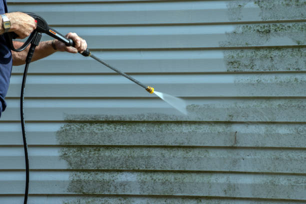 Best Roof Washing  in Dewitt, IA